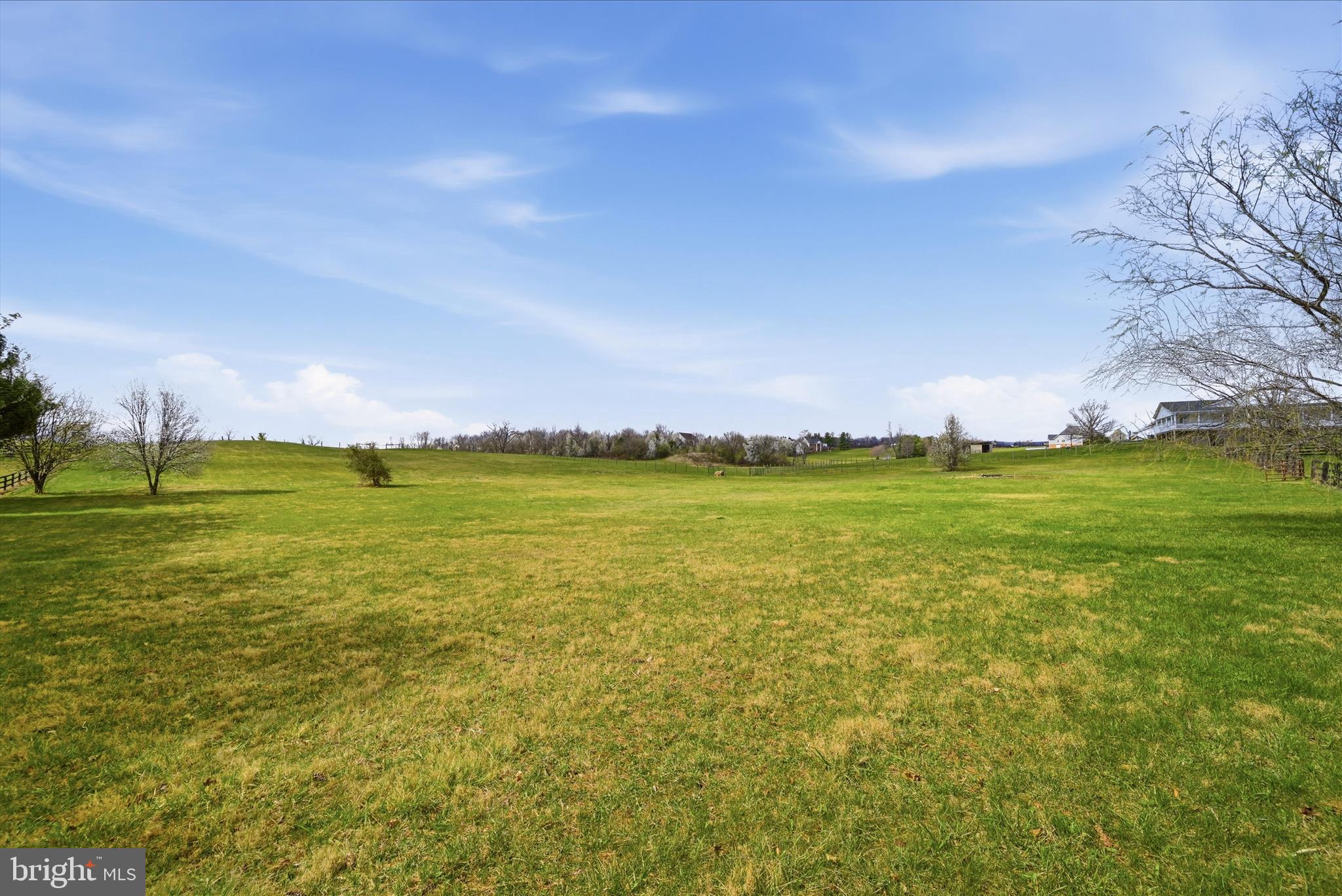 171 Laurel Grove Road Winchester, VA 22602 - Photo 56 of 83 Backyard