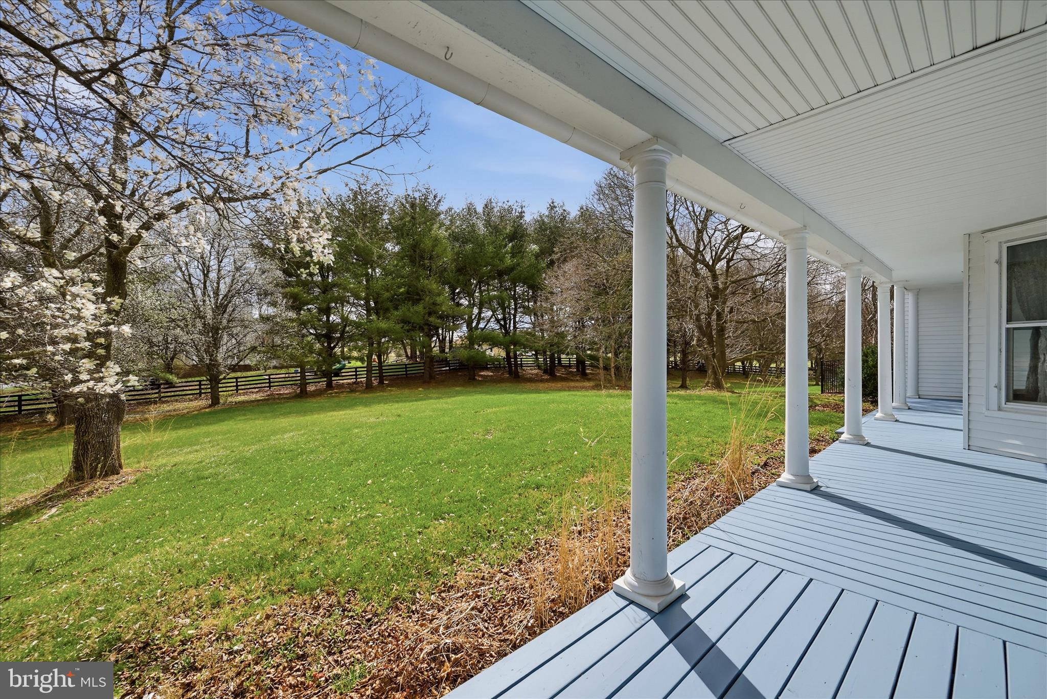 171 Laurel Grove Road Winchester, VA 22602 - Photo 72 of 83 Side yard