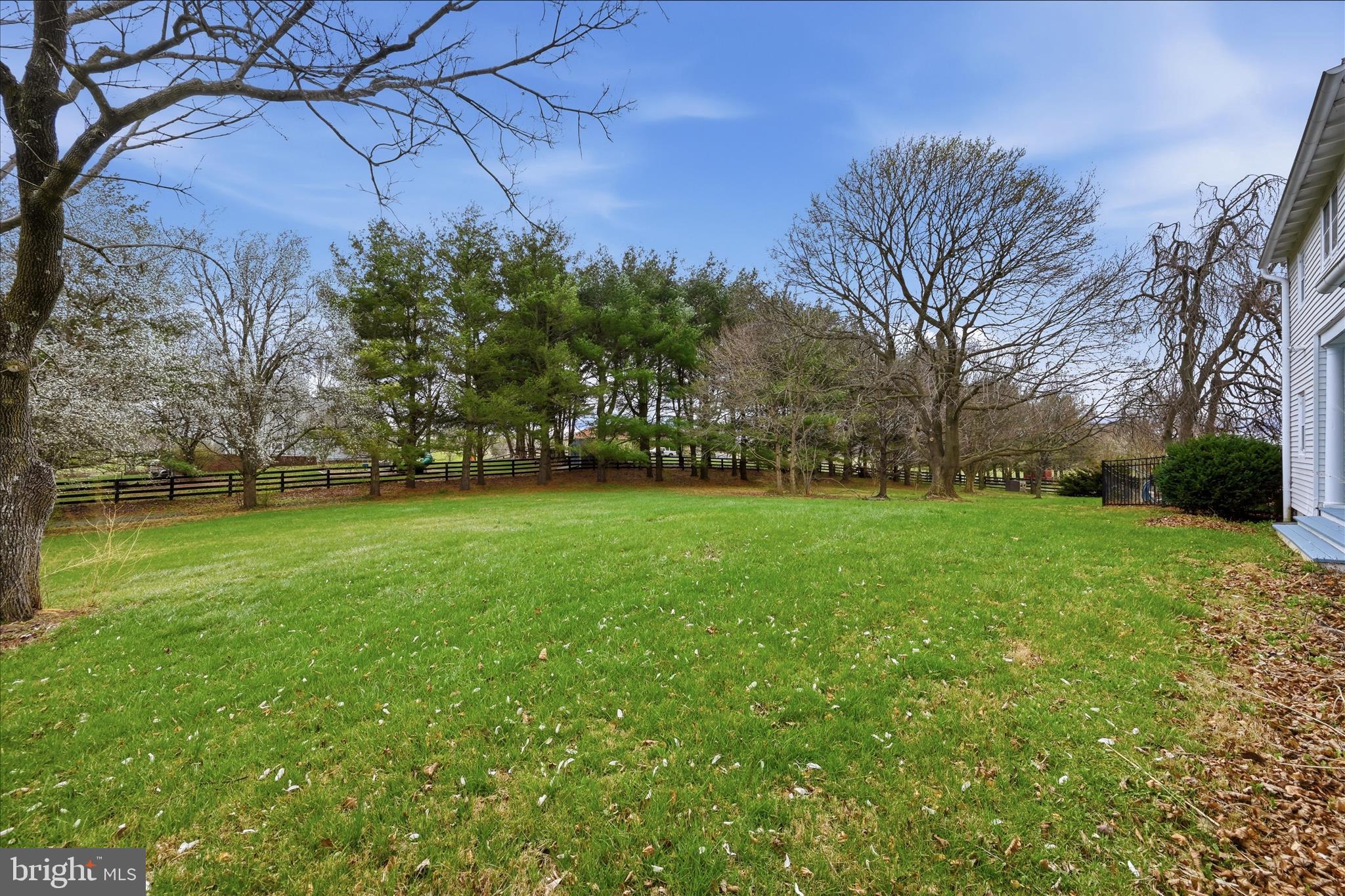 171 Laurel Grove Road Winchester, VA 22602 - Photo 74 of 83 a view of a field of grass and trees