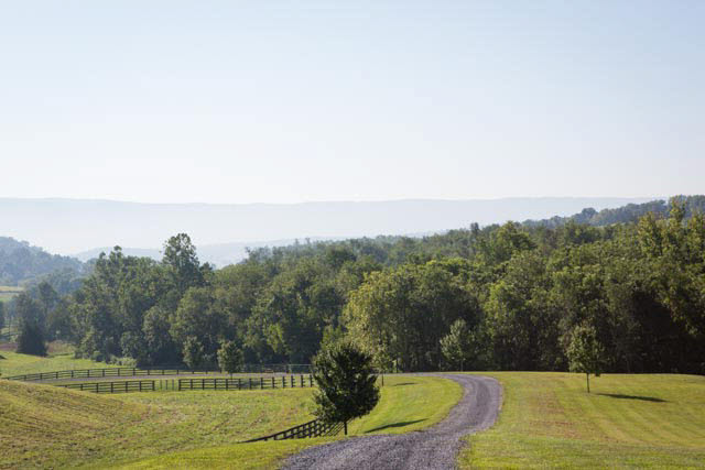 3905 Ridge Road Timberville, VA 22853 - Photo 41 of 45 Gallery Image 41