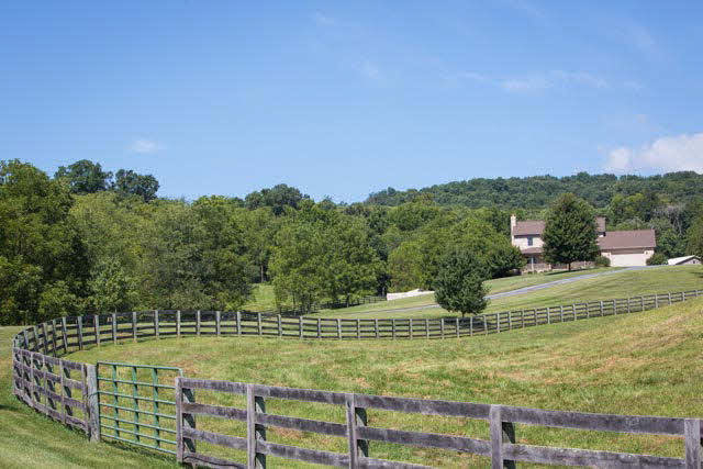 3905 Ridge Road Timberville, VA 22853 - Photo 45 of 45 Gallery Image 45