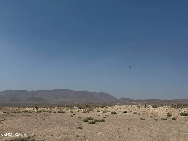 a view of a dry field with a mountain in the background