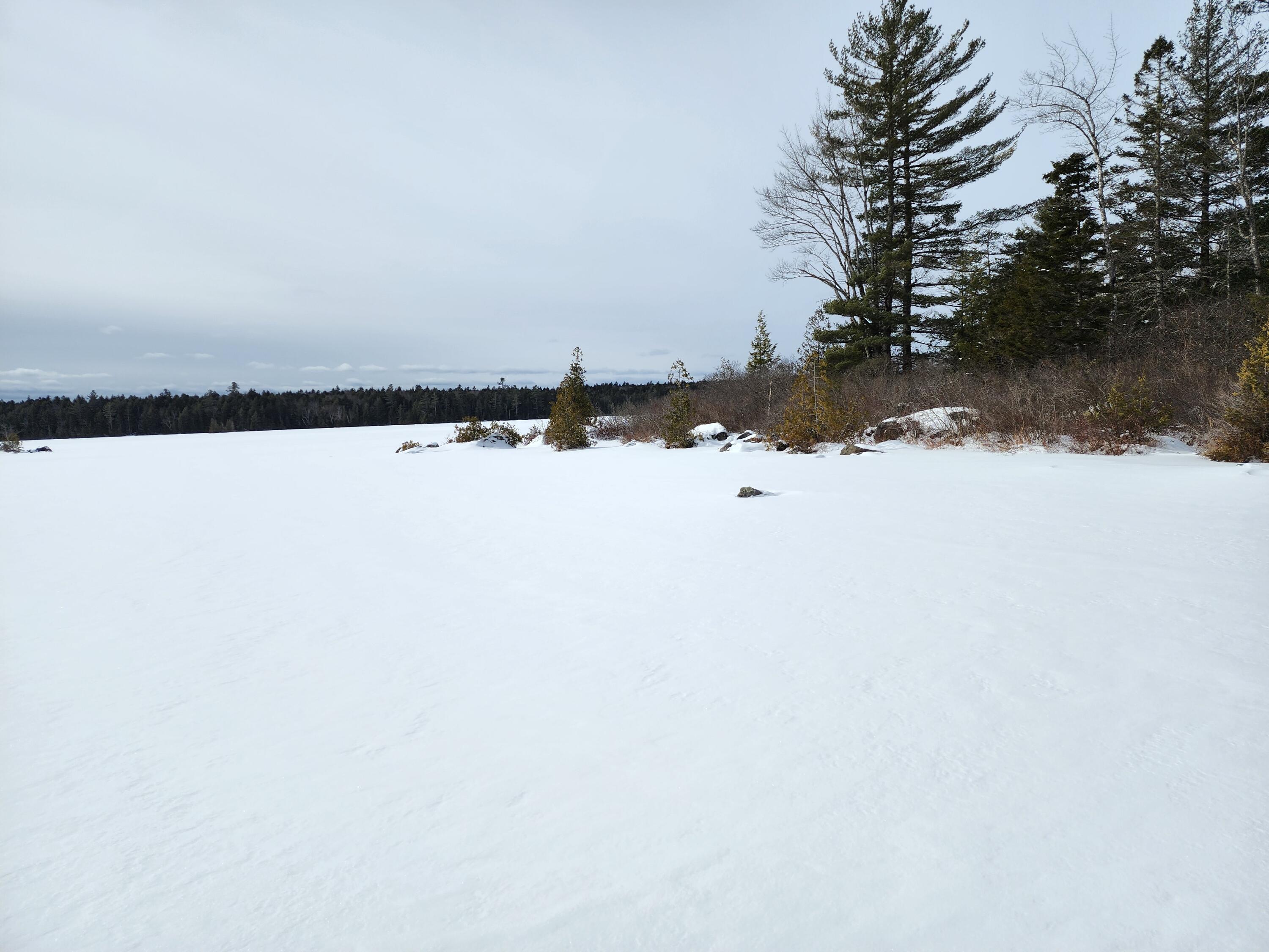 Lot 14 Birch Point Road Cooper, ME 04657 - Photo 9 of 12 20230228_105038