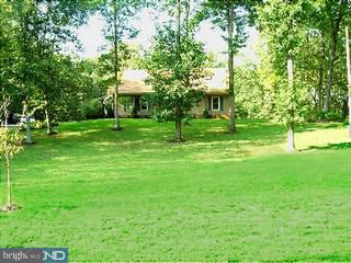 436 Alloway Aldine Road Alloway, NJ 08318 - Photo 6 of 6