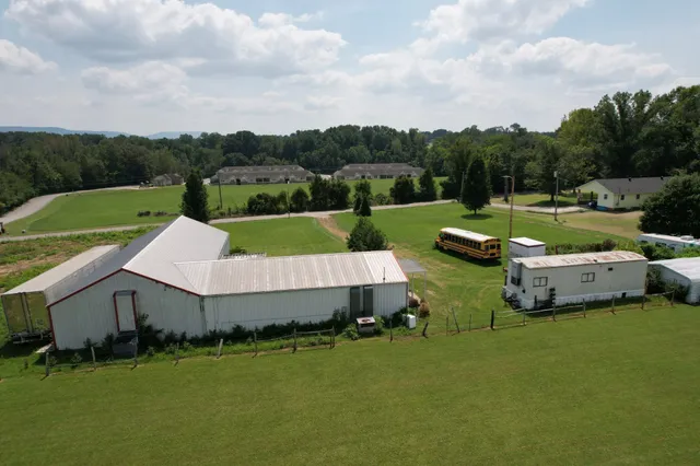a view of a garden with lawn chairs