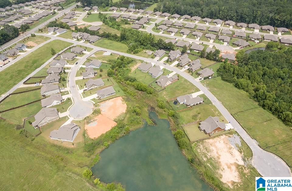 809 Shelby Farms Circle Alabaster, AL 35007 - Photo 7 of 10