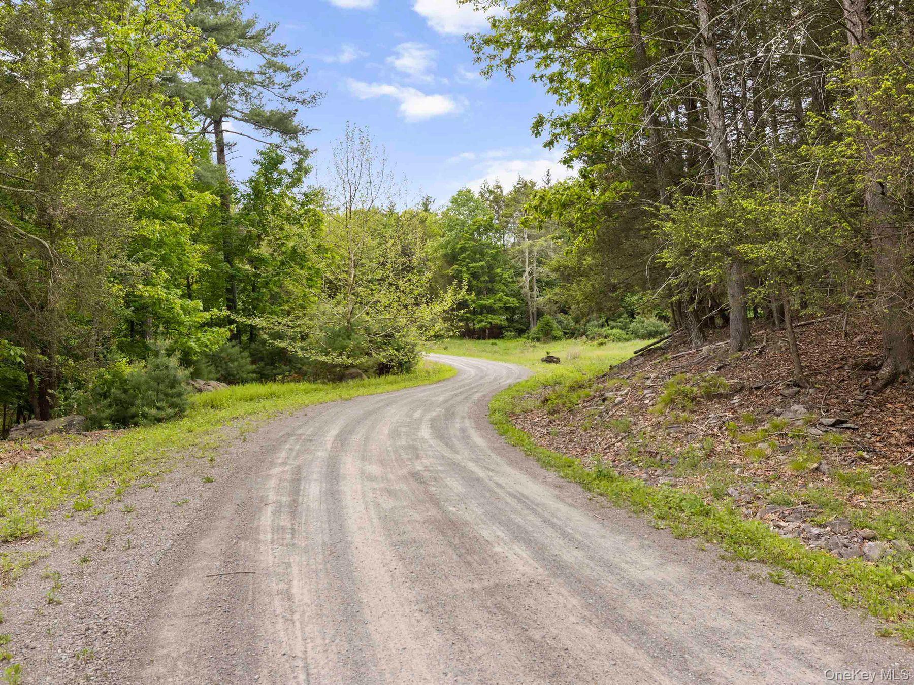 40 Mamoud Hills Road Kingston, NY 12401 - Photo 13 of 42 a view of a yard with large trees