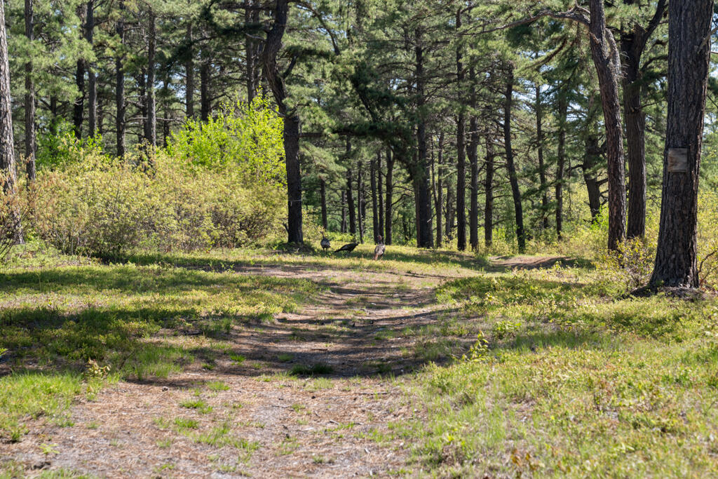 78 Northeast Road Waterboro, ME 04087 - Photo 27 of 32 DSC01203