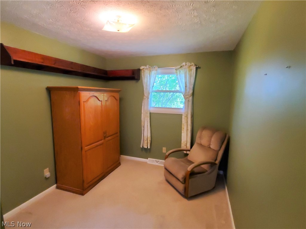 5291 River Road Madison, OH 44057 - Photo 7 of 28