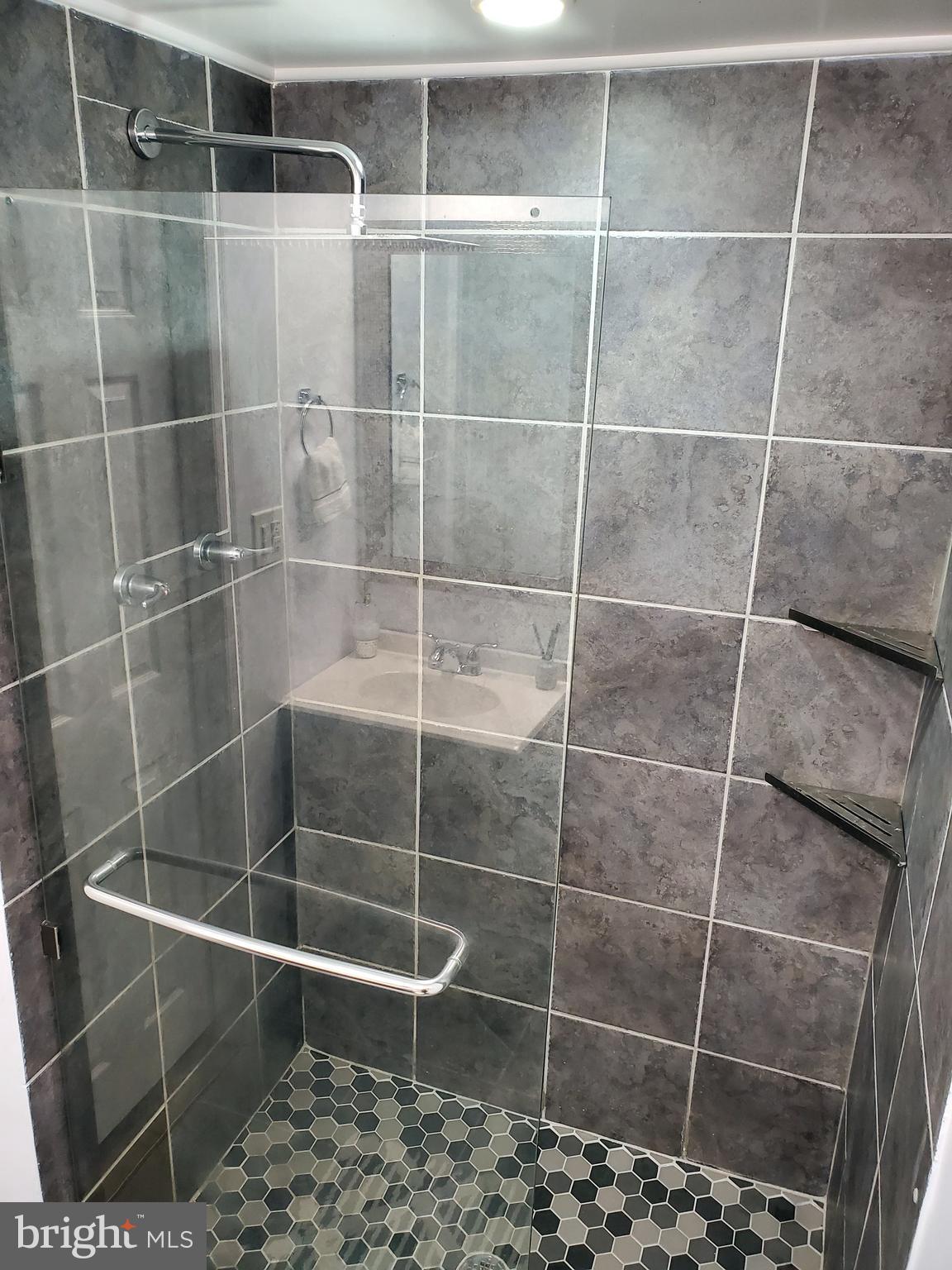 2235 Castle Rock Square, Unit 1B Reston, VA 20191 - Photo 19 of 26 Rain showerhead