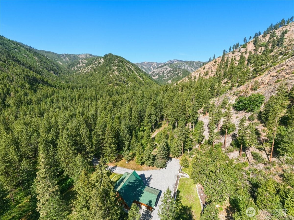 2250 First Crk Road Chelan, WA 98816 - Photo 39 of 39 a view of a lush green forest with mountains in the background