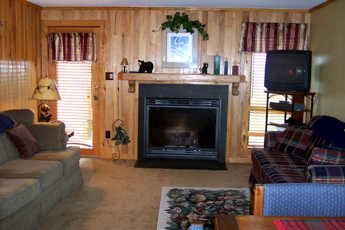 75 Powderidge Road Snowshoe, WV 26209 - Photo 2 of 17 Gallery Image 2