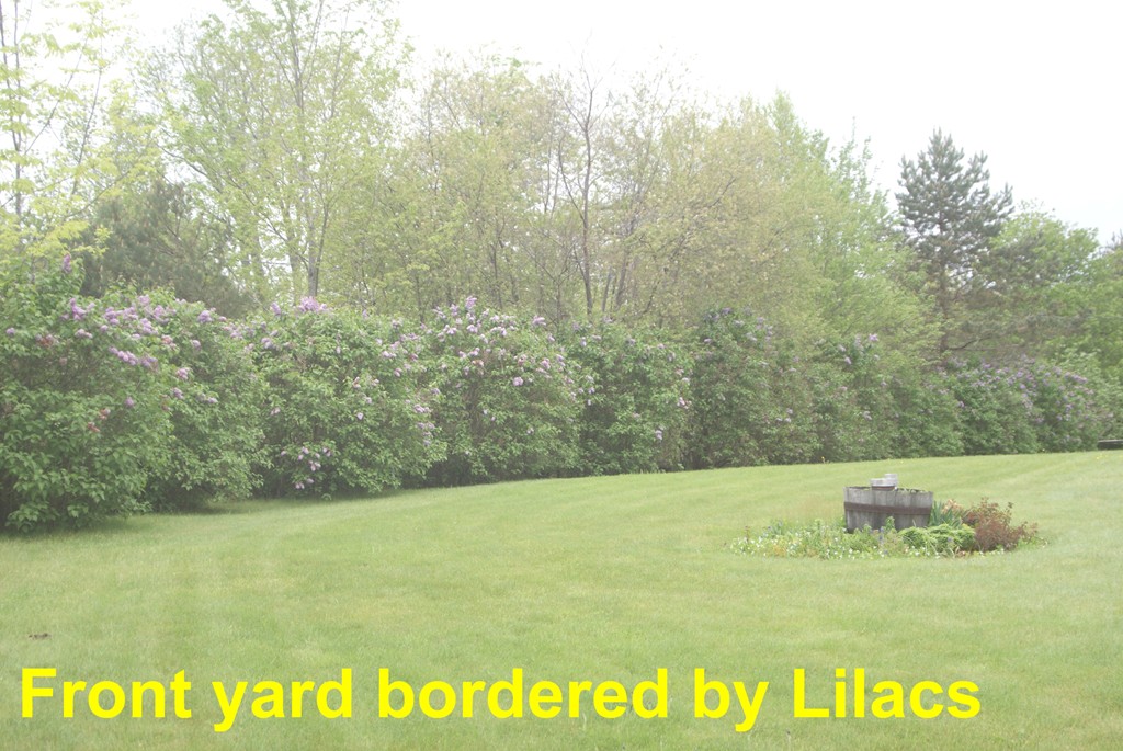 2 Stoddard Road North Brookfield, MA 01535 - Photo 4 of 27