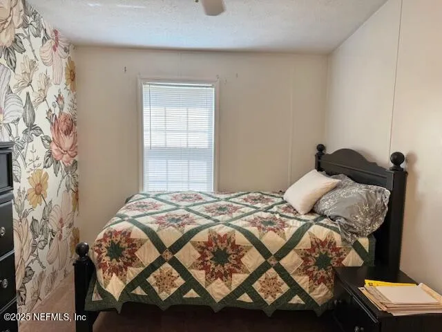 a view of a potted plant