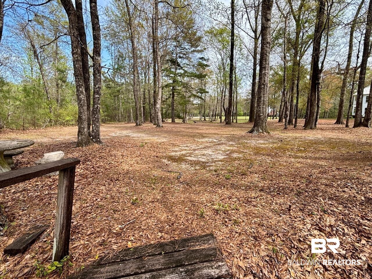 9081 Marlin Street Stockton, AL 36579 - Photo 5 of 10 walking path to the river