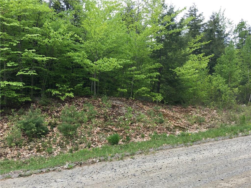 Lot 1 Oak Ridge Road Oakland, ME 04963 - Photo 7 of 12 Photo