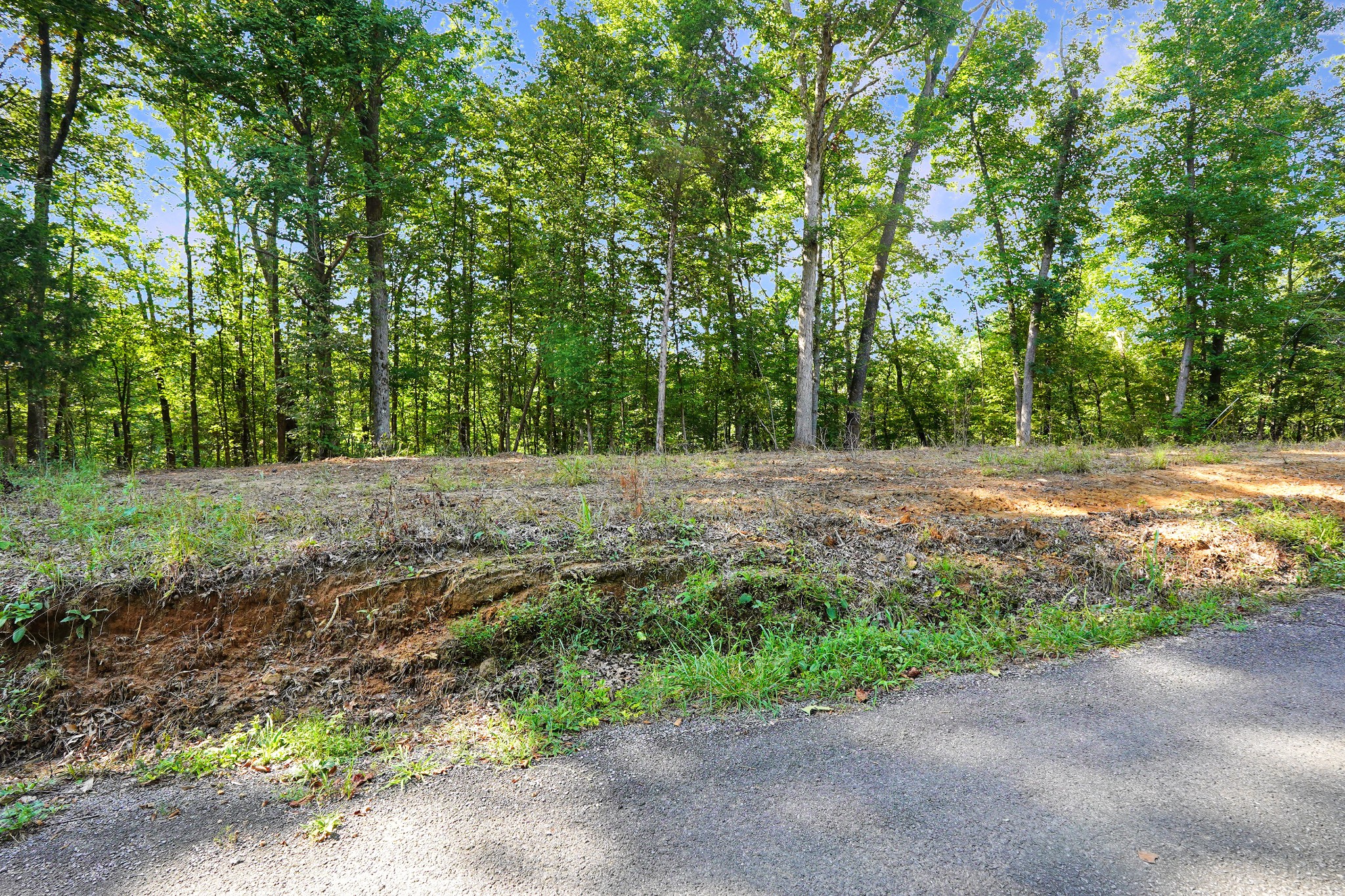 8 Selph Road Stewart, TN 37175 - Photo 2 of 9 Gallery Image 2