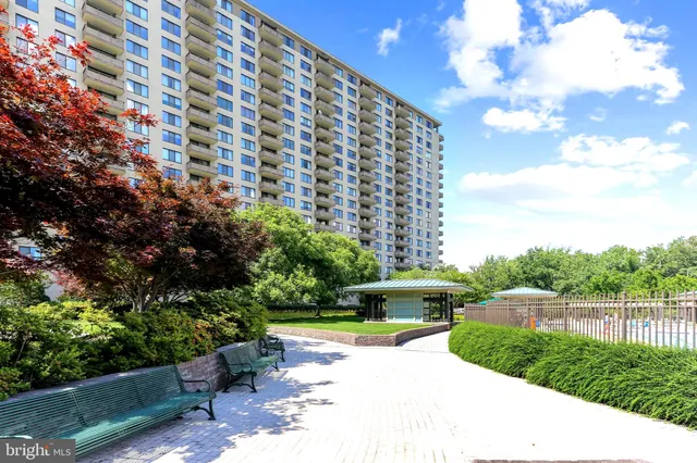 a view of a park with large trees