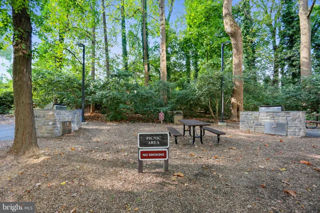a view of a backyard with a large trees