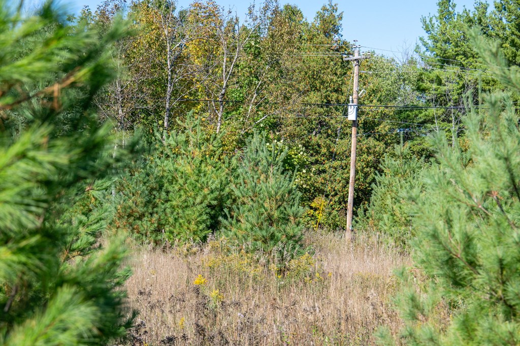 Tbd Gibraltar Road Fish Creek, WI 54212 - Photo 23 of 31 Gallery Image 23