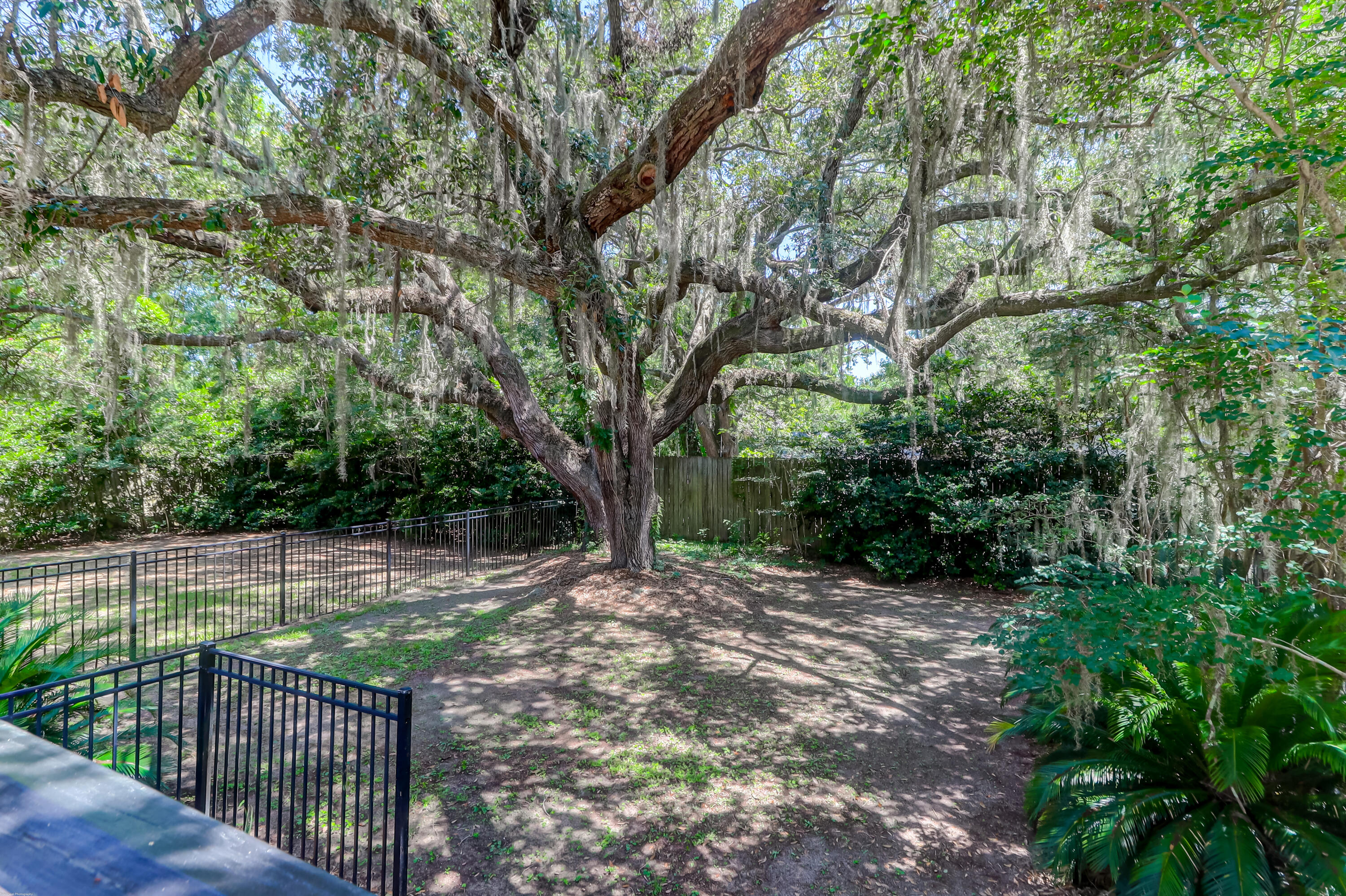 2630 Rifle Range Road Mount Pleasant, SC 29466 - Photo 65 of 77 Yard