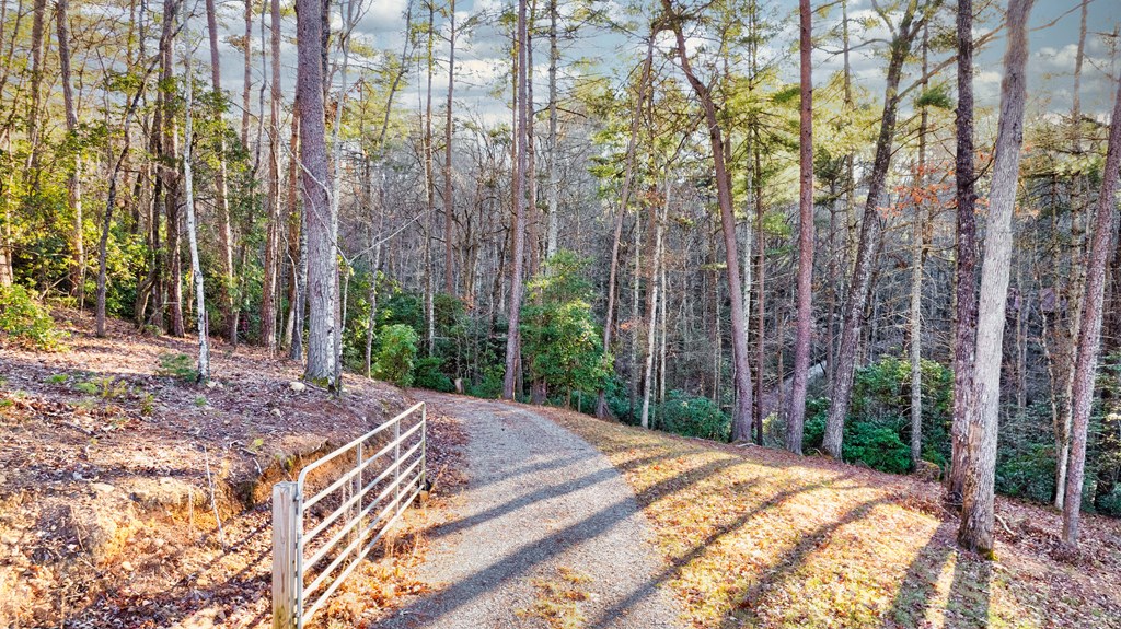 323 Stanley Creek Road Blue Ridge, GA 30513 - Photo 61 of 82 Gallery Image 61