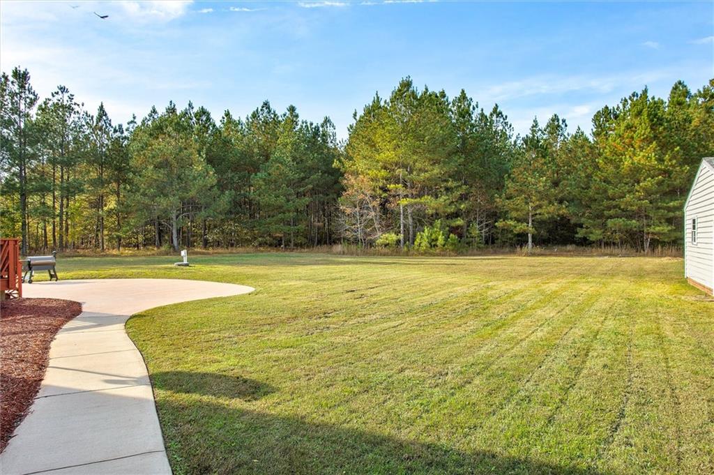 11564 Centennial Road Prince George, VA 23875 - Photo 30 of 33 Backyard
