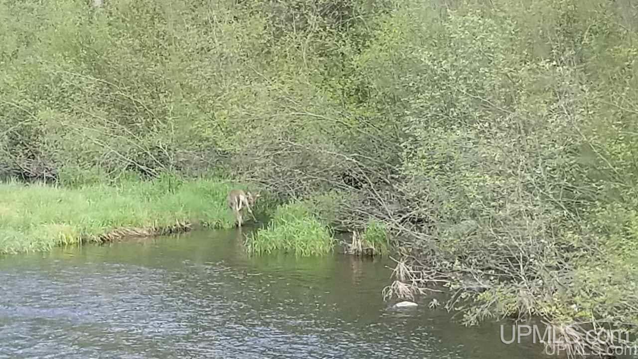 Tbd Fr 3470 Road Iron River, MI 49935 - Photo 23 of 31