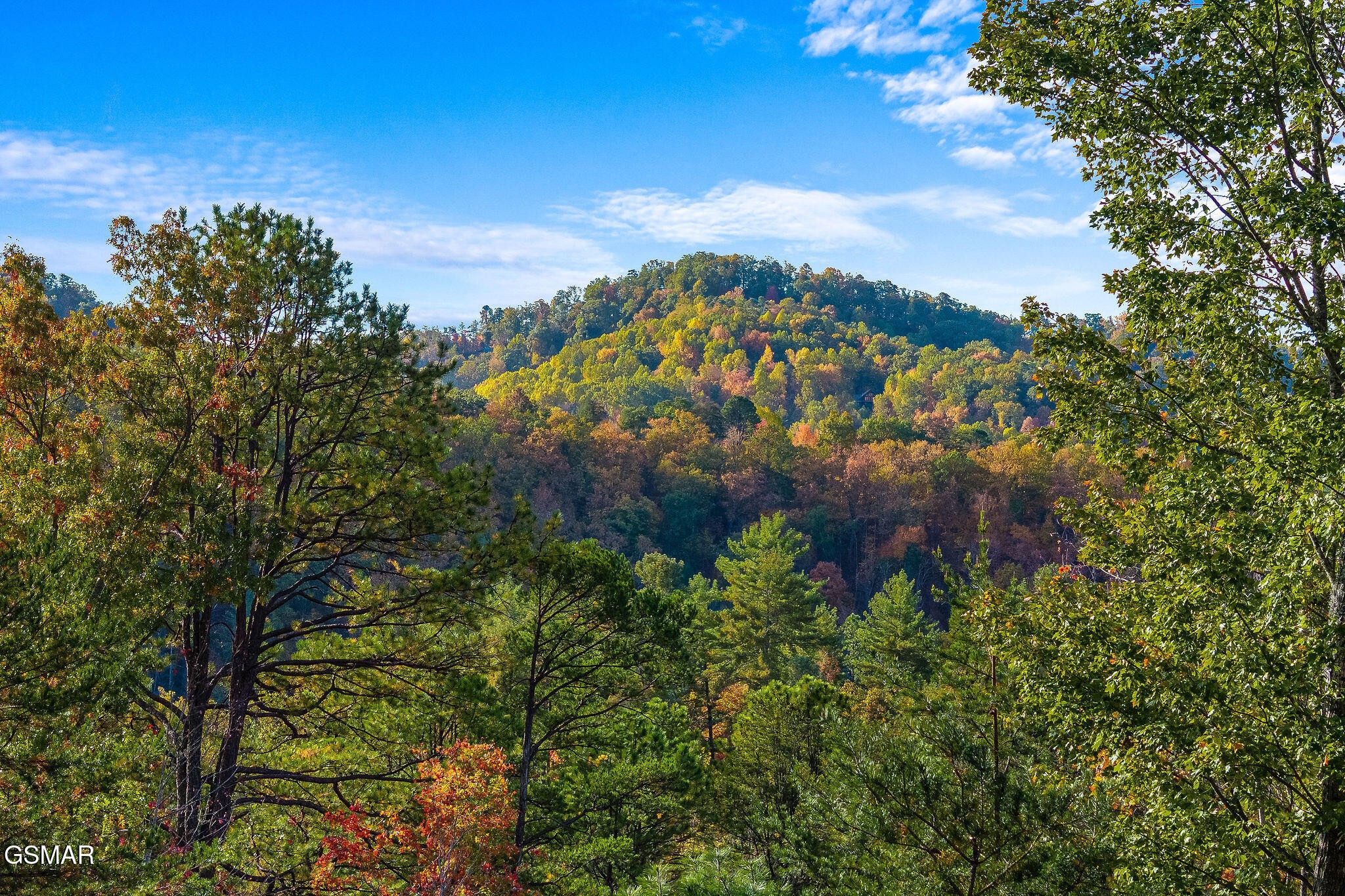 2445 Sunset Road Sevierville, TN 37862 - Photo 41 of 68 Gallery Image 41