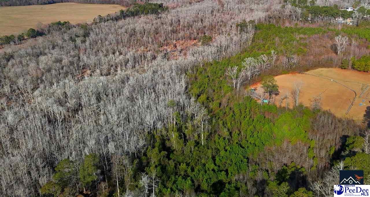Tbd Powell Court Dillon, SC 29536 - Photo 3 of 4 Gallery Image 3