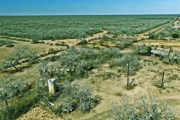 a view of a green field with lots of bushes