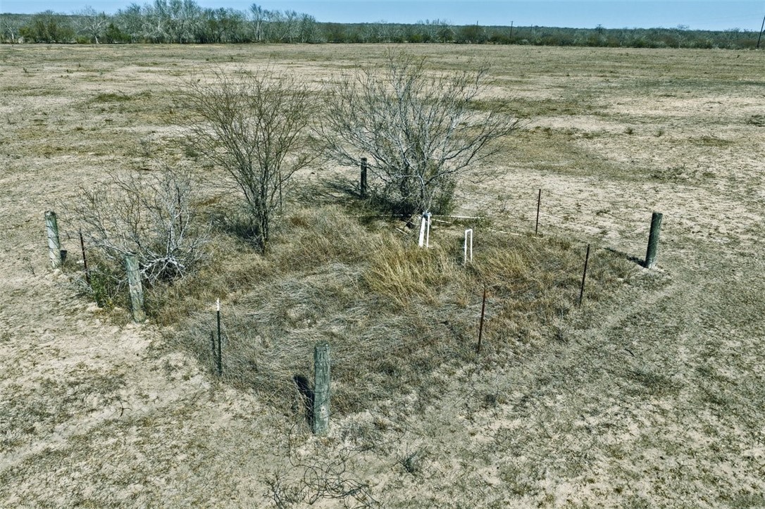 2104 Cr 440 Alice, TX 78332 - Photo 15 of 23