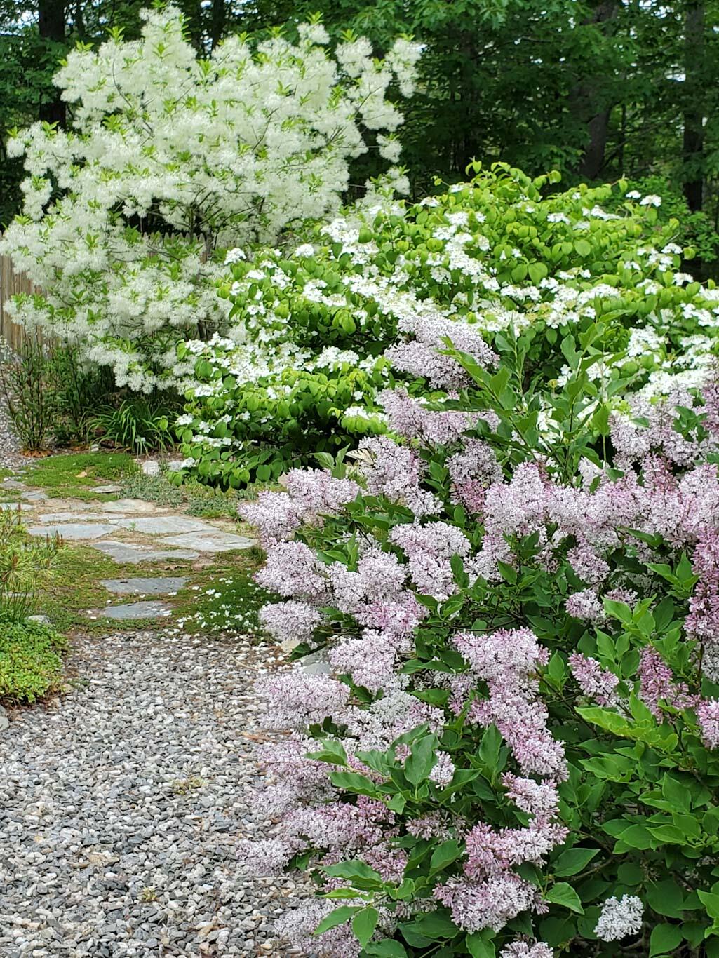 546 Webbs Mills Road Raymond, ME 04071 - Photo 50 of 55 flowers1