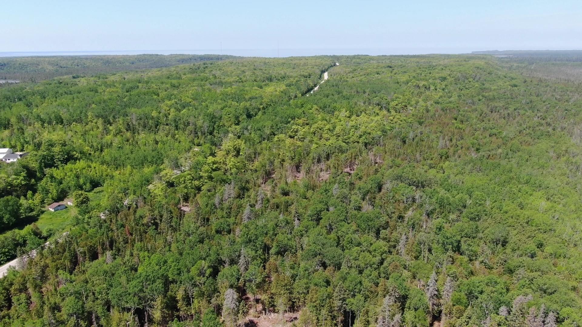 40-ac Cheeseman Road St. Ignace, MI 49781 - Photo 16 of 17 Cheeseman Rd. 40 acres (15)