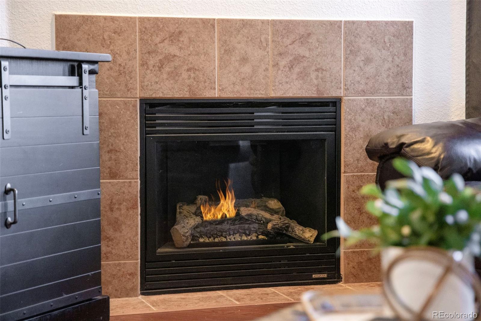 10751 Twenty Mile Road, Unit 206 Parker, CO 80134 - Photo 5 of 35