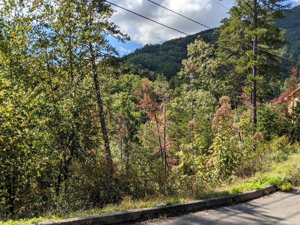 98 Bluff Ridge Road Sevierville, TN 37876 - Photo 17 of 19