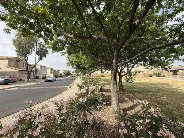 $2,850 | 1235 East Julian Drive, Gilbert, AZ 85295