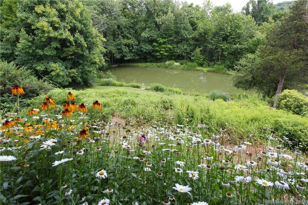 32 Leach Hollow Road Sherman, CT 06784 - Photo 33 of 40 a view of a garden with a lake
