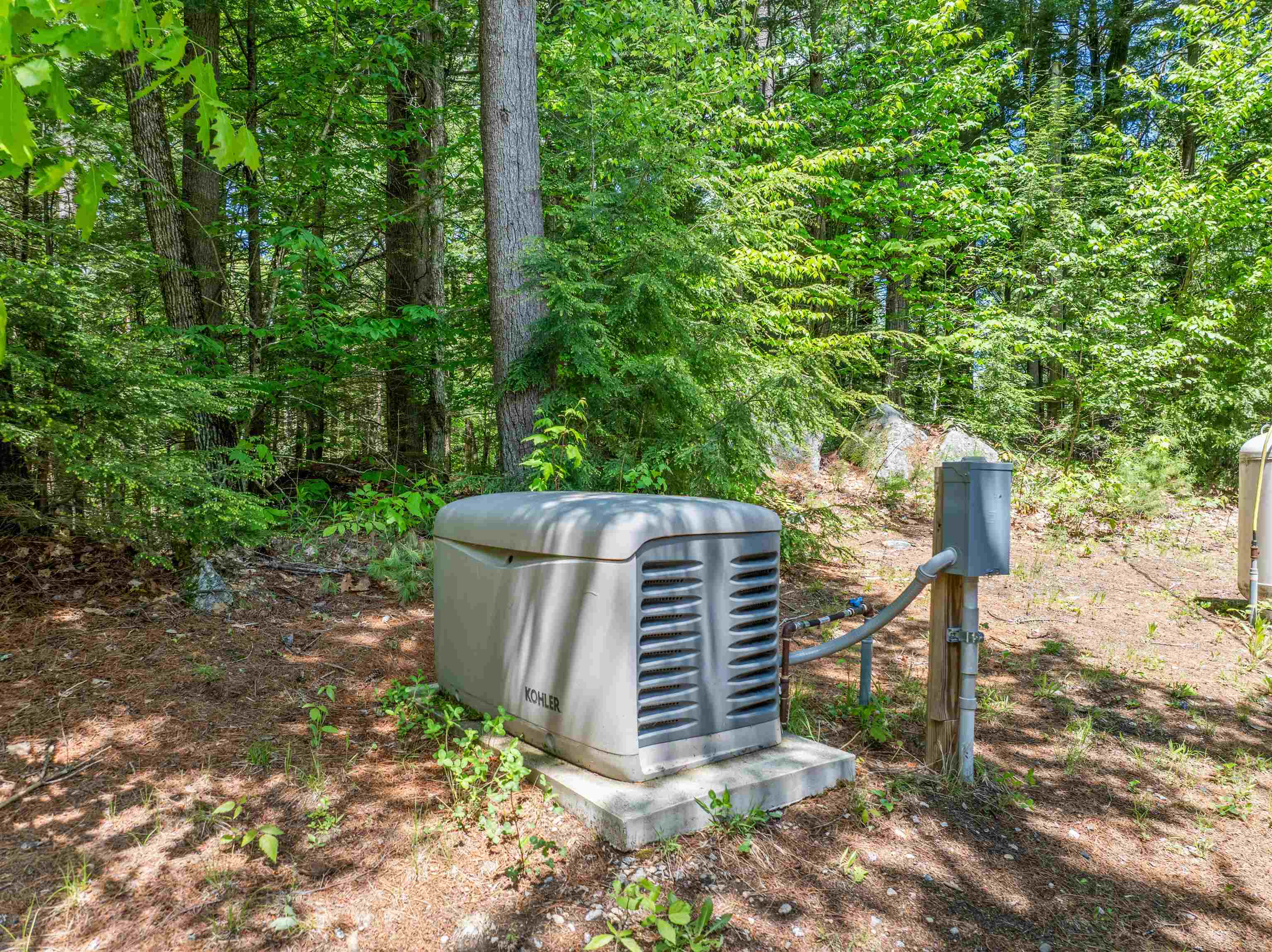 47 Forest Pond Road New Hampton, NH 03256 - Photo 18 of 60