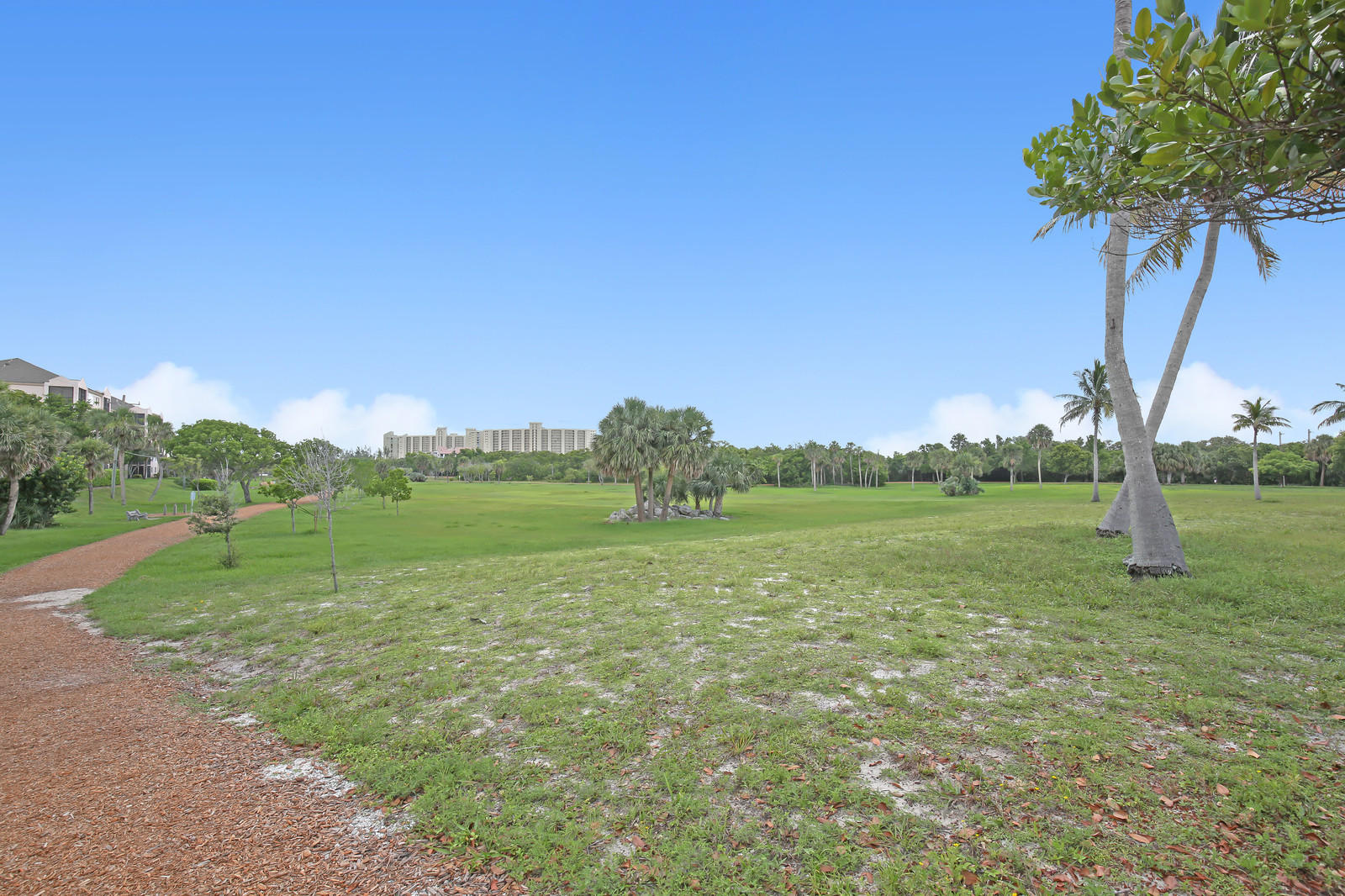 299 Palm Avenue Jupiter, FL 33477 - Photo 23 of 26 a view of a garden with a tree