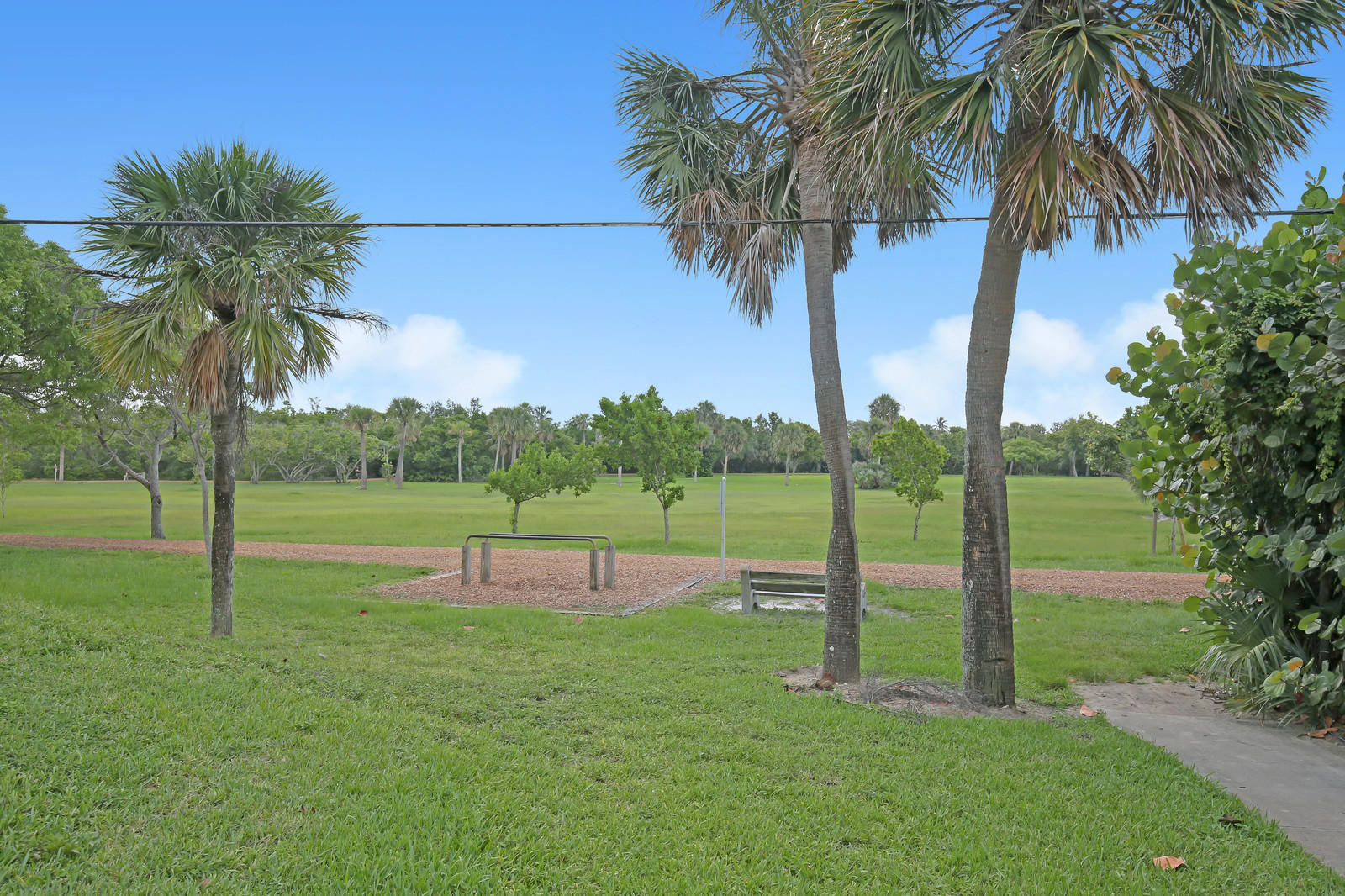 299 Palm Avenue Jupiter, FL 33477 - Photo 24 of 26 a view of lake with palm trees