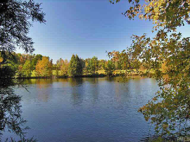 4349 Gillburg Road Kittrell, NC 27544 - Photo 7 of 8 Nice clear pond