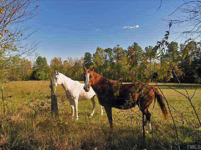 4349 Gillburg Road Kittrell, NC 27544 - Photo 8 of 8 Bring your horses