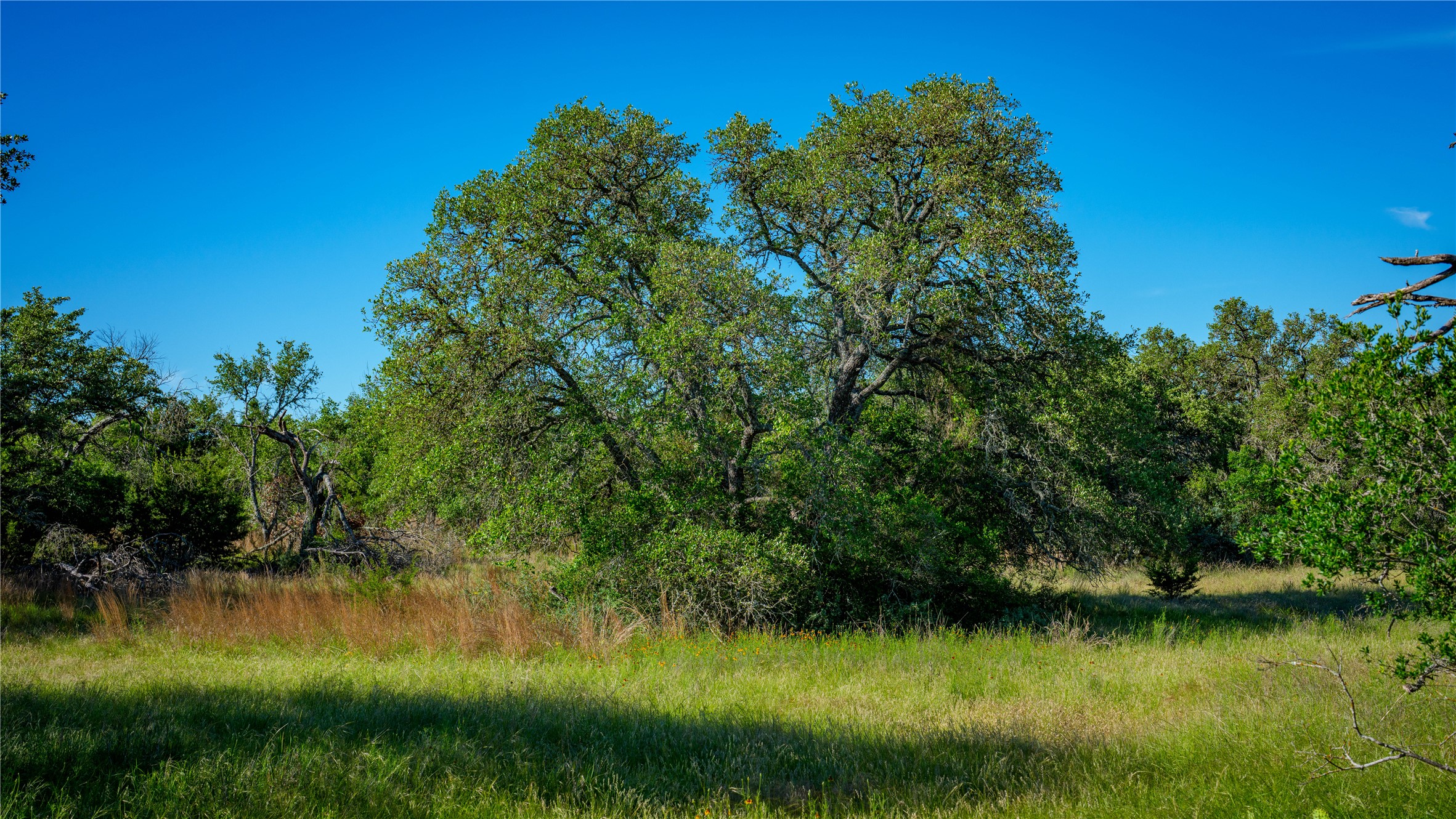3276 Link Road Doss, TX 78618 - Photo 20 of 35 a view of lake background with house