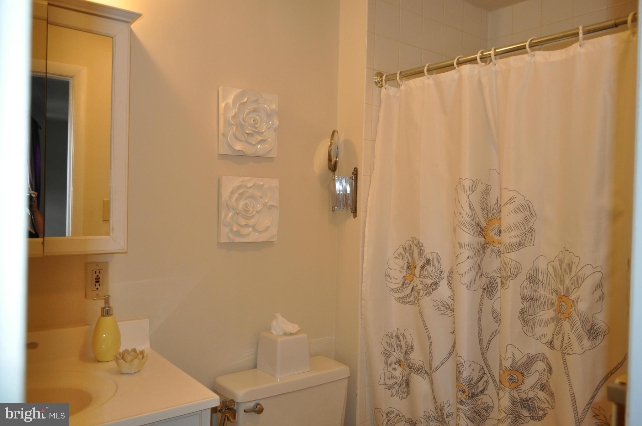 8020 Sandy Spring Road Laurel, MD 20707 - Photo 12 of 30 Bath (Master)