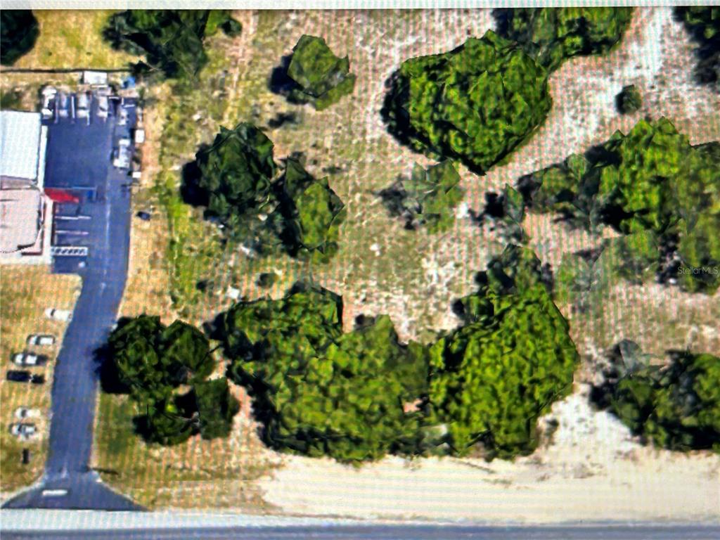 Countyline Lakeland, FL 33811 - Photo 2 of 3 a view of a garden with plants