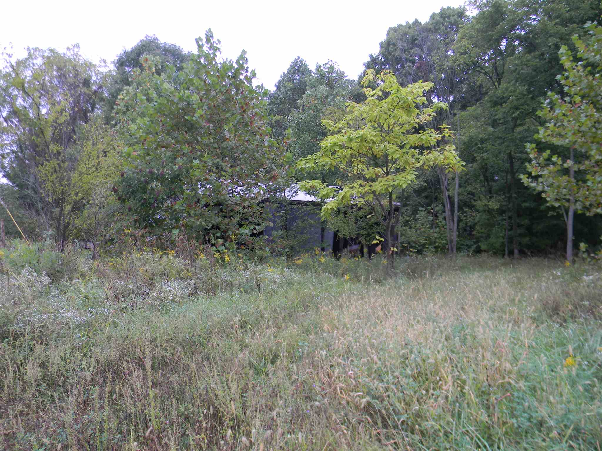 807 West Porter Ridge Road Spencer, IN 47460 - Photo 3 of 8