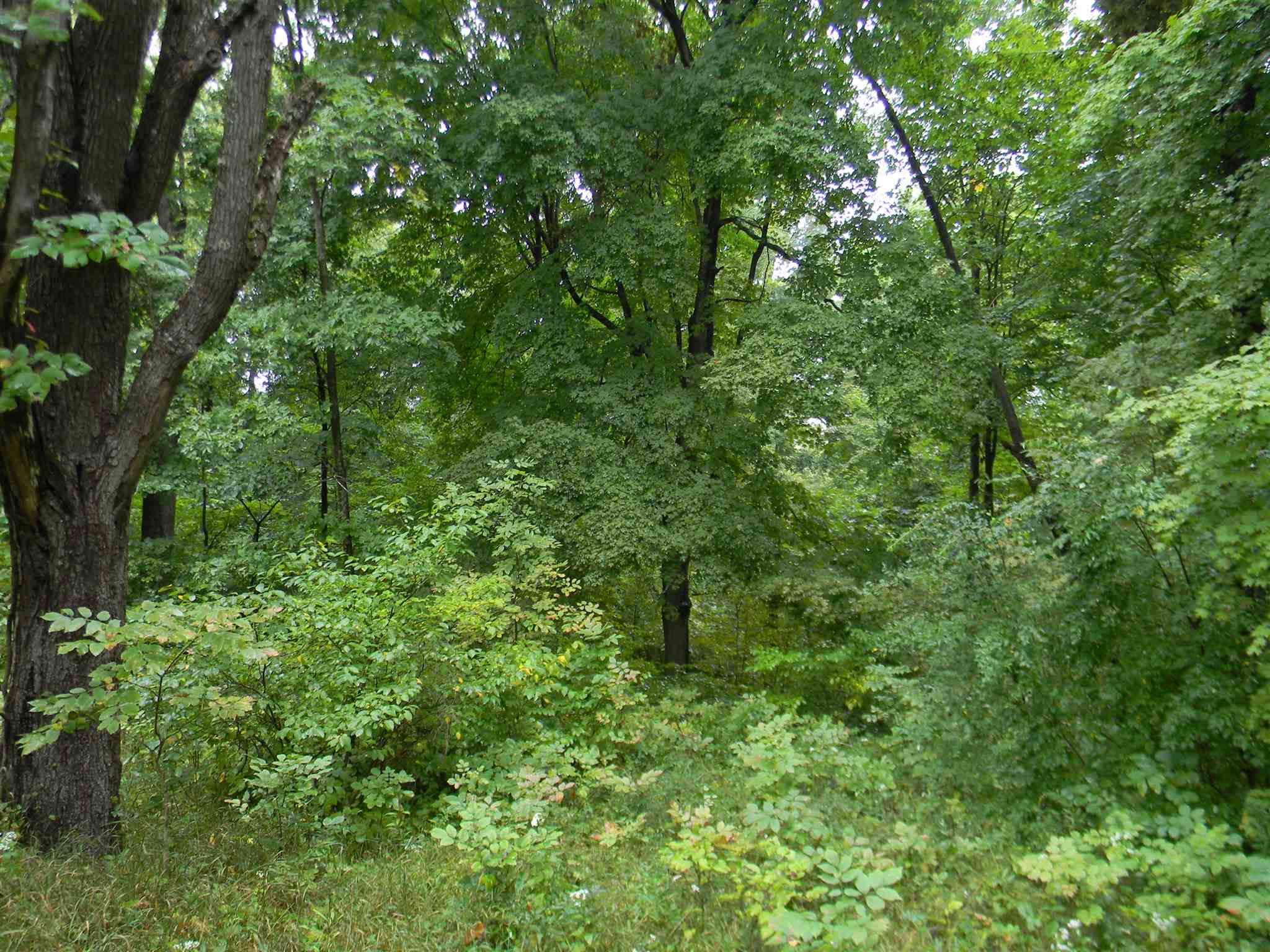 807 West Porter Ridge Road Spencer, IN 47460 - Photo 4 of 8