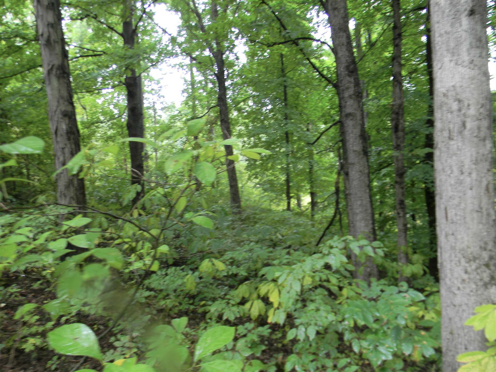 807 West Porter Ridge Road Spencer, IN 47460 - Photo 5 of 8