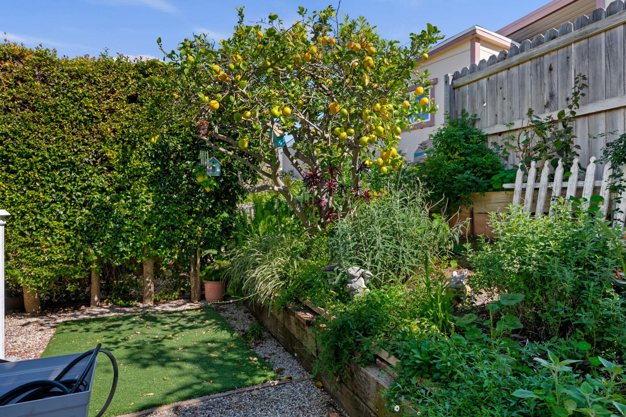 340 Old Mill Road, Unit 32 Santa Barbara, CA 93110 - Photo 28 of 39 28-Back Yard